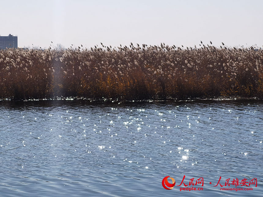 d74b41b3fac2ecdad3e55c85bde415fc_LOCAL202111271305000572115195561.jpg d74b41b3fac2ecdad3e55c85bde415fc_LOCAL202111271305000572115195561.jpg