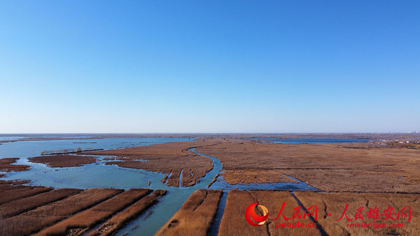 6491e143c5ff10f8f3e9179cd470efd5_LOCAL202111271304000315719656823.jpg 6491e143c5ff10f8f3e9179cd470efd5_LOCAL202111271304000315719656823.jpg