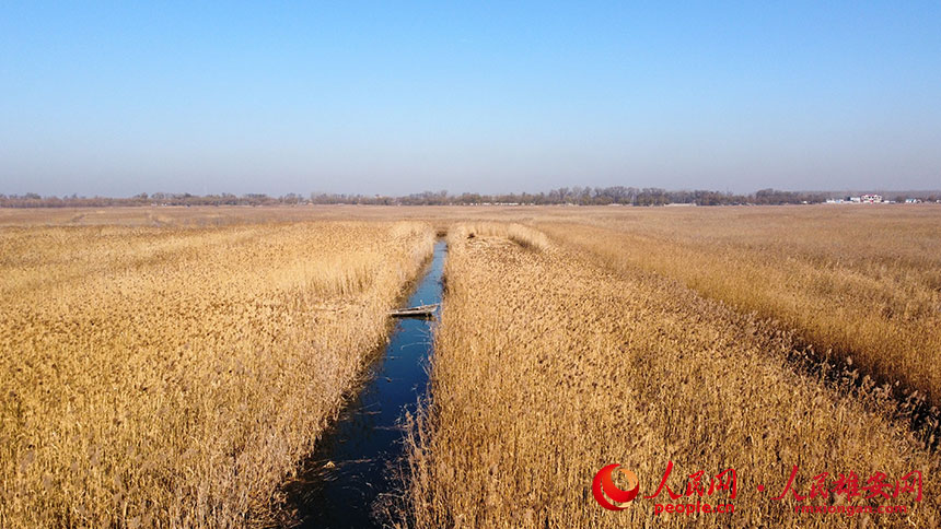 526260f144384e0d084c89d3a0da0701_LOCAL202111271304000567166200208.jpg 526260f144384e0d084c89d3a0da0701_LOCAL202111271304000567166200208.jpg