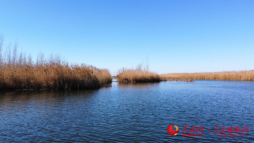 7c9cd3c25e3be6f0de16e09b5bf69b4f_LOCAL202111271305000264413210178.jpg 7c9cd3c25e3be6f0de16e09b5bf69b4f_LOCAL202111271305000264413210178.jpg