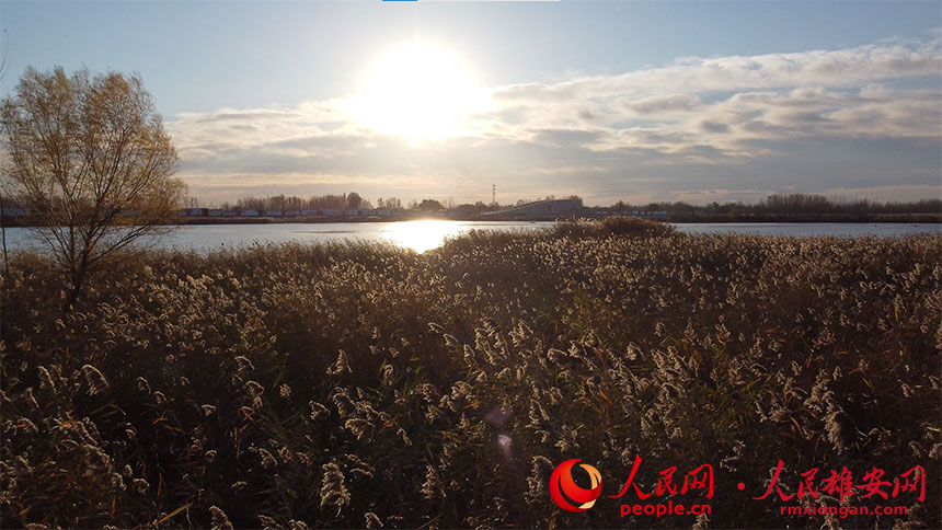 ebaad40712fb5375ef47c005b9df4f84_LOCAL202111271306000323915973522.jpg ebaad40712fb5375ef47c005b9df4f84_LOCAL202111271306000323915973522.jpg