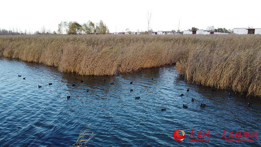 e53407d585f3c714536e13435562fbcd_LOCAL202111271306000480380578845.jpg e53407d585f3c714536e13435562fbcd_LOCAL202111271306000480380578845.jpg