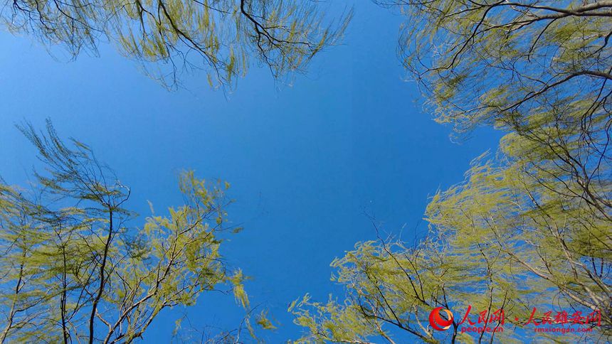 a1a10212c88fa620169cf790131aa82e_LOCAL202204051631000340577751381.jpg a1a10212c88fa620169cf790131aa82e_LOCAL202204051631000340577751381.jpg