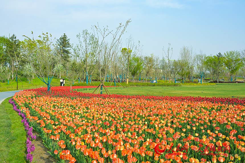 b44025f69e340673f39c0d384fb93a1a_LOCAL202204281513000076562413892.jpg b44025f69e340673f39c0d384fb93a1a_LOCAL202204281513000076562413892.jpg