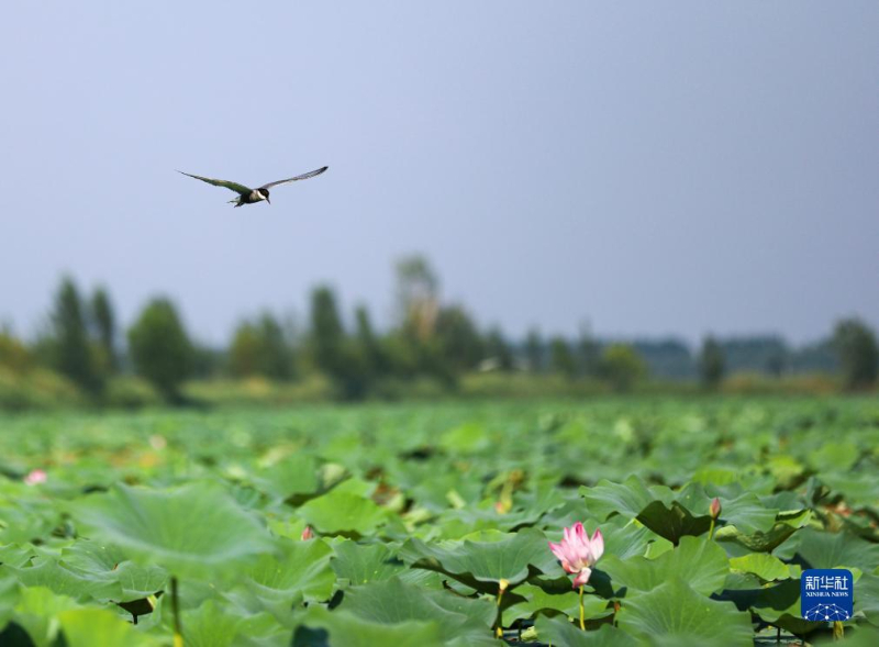 b4cafb1d36e91726dc3d51e1647fe6b4_1212304433_17005294505701n.png b4cafb1d36e91726dc3d51e1647fe6b4_1212304433_17005294505701n.png