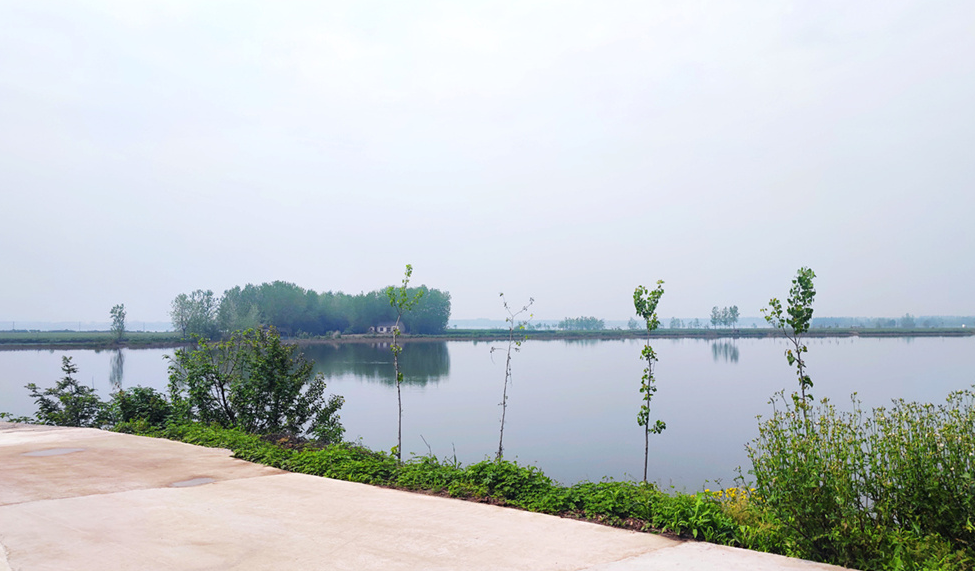 湖北石首：公益訴訟守護“長江故道”